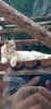 IMG_20230508_160021.thumb.jpg.fc4b2edcf25c64ad0347c2dbd569da75.jpg