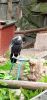 IMG_20230508_163355.thumb.jpg.db688b1d4f30bd743a410fcaa0e3faf1.jpg