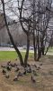 IMG_20230508_165853.thumb.jpg.7a141a9365e751ae8149ea009da3e7bb.jpg