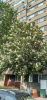 IMG_20230511_084549.thumb.jpg.153be2669cfa20dd48ccf230d00e11f3.jpg