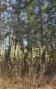 IMG_20230511_094733.thumb.jpg.72150d7919a65473b7ccfd9e2f563129.jpg