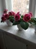 IMG_20230511_145026.jpg