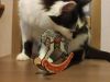 IMG_20230512_204145.thumb.jpg.95b45b5f5b0450a7ddff607fa7994ecb.jpg