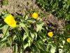IMG_20230514_111113.thumb.jpg.b9d7937f86bf702fe42b58204eba55db.jpg