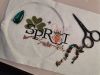 IMG_20230514_204541.thumb.jpg.42f593b76dca628b8aea1a65632d9b5f.jpg