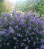 IMG_20230516_181522.thumb.jpg.d69050b21384ddec940f68d724899291.jpg