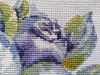 IMG_20230518_205521.thumb.jpg.1504f9f2b7b41464f7425dd2780072eb.jpg