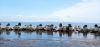 IMG_20230520_123412.thumb.jpg.3929b06afe24d477c49750a6e14493a9.jpg