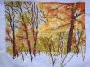 IMG_20230520_155818_1.thumb.jpg.a6bf4a0b7296b8216977f4e77005dcc4.jpg?1684587865835