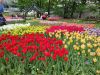IMG_20230524_135842.thumb.jpg.66a63f761530ad4759742eae041d53e6.jpg