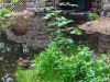 IMG_20230524_144720.thumb.jpg.d836196c2e1bc16e7bde0310c1f5975c.jpg