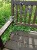 IMG_20230527_101317.thumb.jpg.712c7b9085d812dca091e42dbce93179.jpg