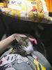 IMG_20230527_232718.thumb.jpg.7d13988e317c186e6253b2bcdc23af72.jpg