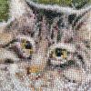 IMG_20230528_140454.thumb.jpg.d8075630dbceb40ba27ba3e46e8cd54c.jpg