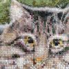IMG_20230528_140504.thumb.jpg.bacd46434156d312482f6744ce7c4e98.jpg