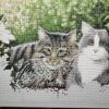 IMG_20230528_172404.thumb.jpg.1ff97961786800c41ae423221331cc70.jpg