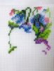 IMG_5417.thumb.jpg.d8e31f7ae151b8c7e36f66f2de8f39c6.jpg