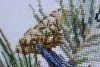 IMG_8793.thumb.JPG.92e6d1ade52e0c94149655997cbd87db.JPG