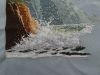 P1080980.thumb.JPG.3ff13cdf4ba8adcc7cf9ecc0500a99bc.JPG