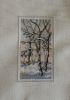 derWinter2705.jpg.f0b0edac4306afc9f912c35d8e93ff44.thumb.jpg.85084d15a835f04e71570ee835a54fa8.jpg