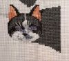 upload_2023_05_09_07_59_37_834.thumb.jpg.5b4d557064214972f03fb14569c56424.jpg
