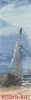 051ED961-968D-43B1-8024-0AF34B49CA8A.thumb.jpeg.9cf85239556b257d92196e6ac028c6a0.jpeg