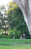 113483237_23062017(2).thumb.jpg.f16df171b87e999c1351b733bb56b83c.jpg