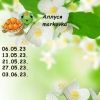 1731510202_1.thumb.jpeg.0bdd17bb88cc51bc49a7fe40ea87aa5c.jpeg