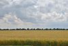 1764838430_DSC_6340(2).thumb.jpg.19c2b801b786128bd7cf9ae72f16b2d7.jpg
