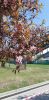 20230520_132207.thumb.jpg.85097dc35b834103225eebbc9b05b4dc.jpg