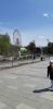 20230520_132421.thumb.jpg.29db713f1235be77062c03b3804cadec.jpg