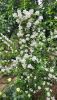 20230601_171701.thumb.jpg.d11f1f57c4e488561261743810927a42.jpg