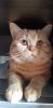20230619_141906.thumb.jpg.a50f1304db03d0697fd645ed3ddae279.jpg