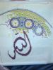 233094F8-69B3-47DE-A0ED-FE5A091BB9C7.thumb.jpeg.71d17c1bf3c1d52a91cbc5ea86cdd936.jpeg