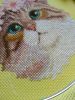 3.thumb.jpg.88196fc331d12a0d223c752eaadbeafe.jpg