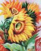 Золотое Руно Т-009, Цветы солнца