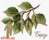 56235.thumb.jpg.545ae8169af0afd0e4a6a65a8acf779c.jpg