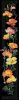 9619.thumb.jpg.8b2fdcd413c68b40da1eb46685c1f7e2.jpg