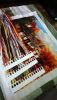 DSC_0091.thumb.JPG.6bfdd54b2193c14c0a5efeaaa3bbe227.JPG