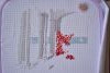 DSC_6326.thumb.JPG.86105760b9f3f6baceff4e5901a911fb.JPG?1687550870547