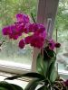 IMG-20230531-WA0014.thumb.jpg.dac7e1d92f76d7b1b6740a944968afb3.jpg