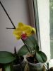 IMG-20230531-WA0016.thumb.jpg.13ce266263ca54d95bd8f31750504786.jpg