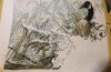 IMG-20230603-WA0016.jpg
