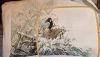 IMG-20230624-WA0017.jpg