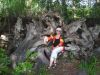 IMG_20210617_172158.thumb.jpg.80789ff9f3549abeca9b476b14550e87.jpg