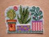 IMG_20221007_101249.thumb.jpg.1cc2d9d89050dcd5b17adc53477d2381.jpg