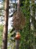 IMG_20230521_131400.thumb.jpg.c1954092de35fcd557cb856e1d38c2f1.jpg