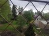 IMG_20230522_084953.thumb.jpg.6470952bd518f645de4d804bce64502a.jpg