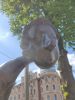 IMG_20230522_134628.thumb.jpg.97f4904504d2f2846d651dfa9accabd3.jpg