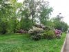 IMG_20230522_141957.thumb.jpg.0e33ca9ab29de8963b2083dae714c52b.jpg